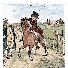 A man on horseback who was talking to a friend has his horse startled by a braying donkey